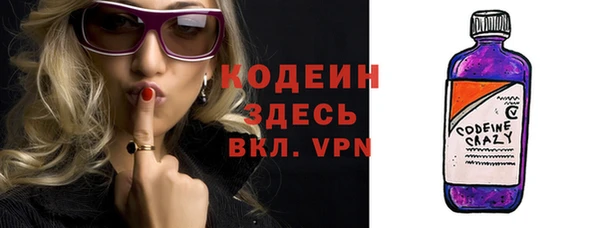 прущие крисы Няндома