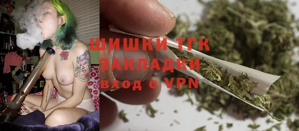 прущие крисы Няндома