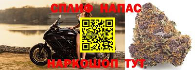 соль ск Кингисепп