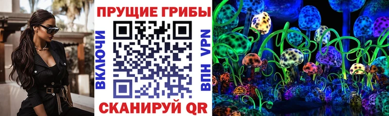 Псилоцибиновые грибы мицелий  Старая Купавна 